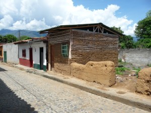 Manure a good insulator?