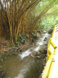 A pleasant walk to my accommodation 