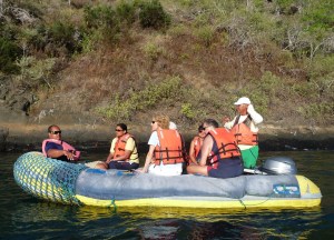 Enjoying a show of feeding competition between the birds and penguins