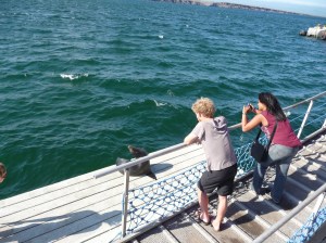 A final farewell at our drop off point!