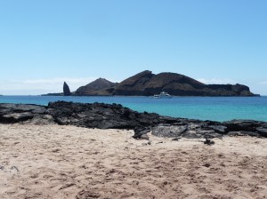View of Pinnacle Rock