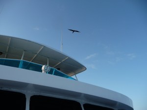 Frigate cruising with us