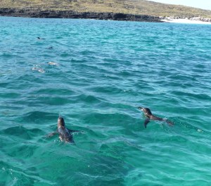 Motoring along Santiago Island