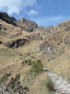 ...and then down again!