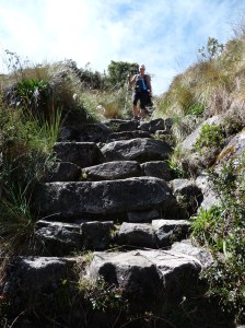 "I love steps, I love steps, I ..."