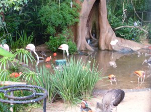 Parque de Aves, Foz do Iguacu 