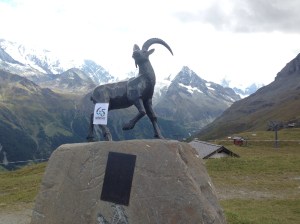 Finally some ('an') ibex!