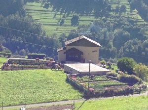 We surmised there was a bit of veggie patch rivalry!