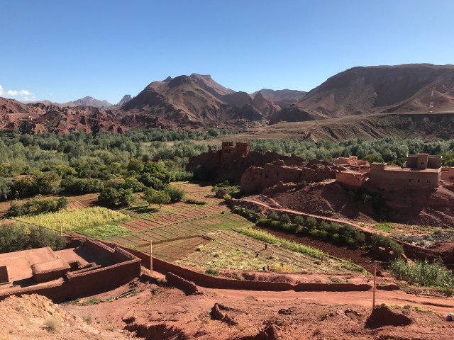 014D485D-1063-4419-AE2F-7613C1BD131C