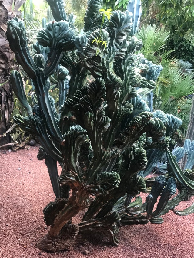 0499D9F3-ECC7-453C-A9C2-C56B72ABD0DC