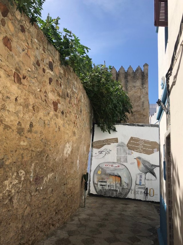 0755DAA0-E511-4E1E-80E7-E8BF61517EAF