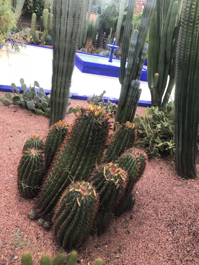 11DC299B-AFA7-45EB-96FD-189A53BA2BB6