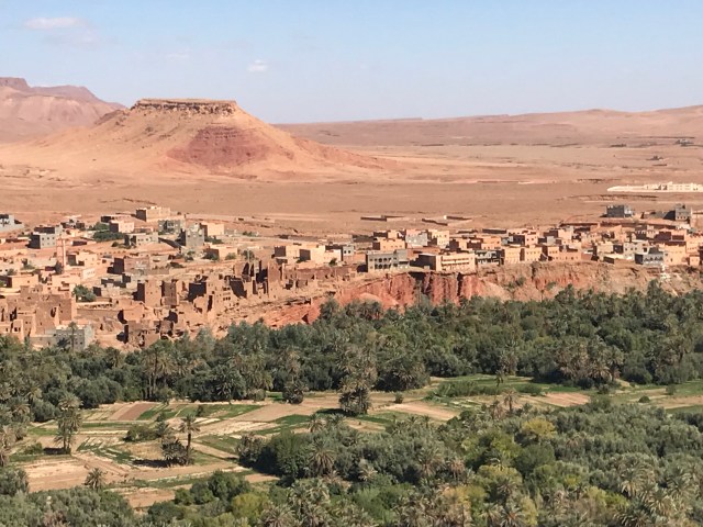 243563F1-1DA5-4815-9A39-34FA78013FAC