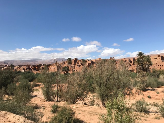 2A3E2CD2-FA7C-4589-84CF-EAF280B00F3F