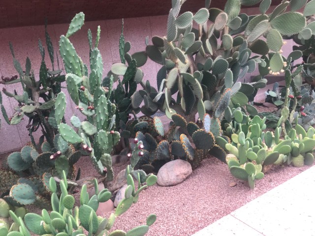 2CF20D5A-AC5F-4F30-BEF8-A3988E350D77