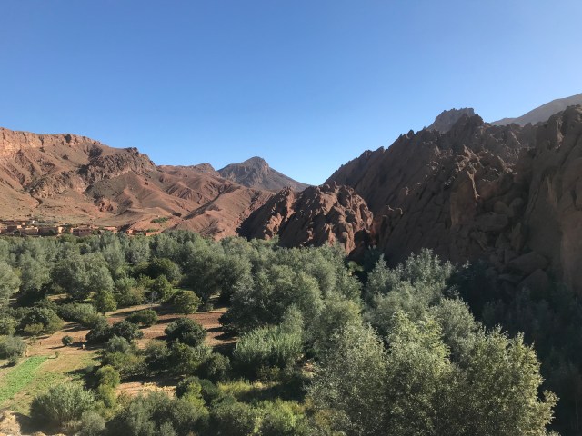 512BE1CA-754B-4B73-AB3D-9E3D7CADCBF4