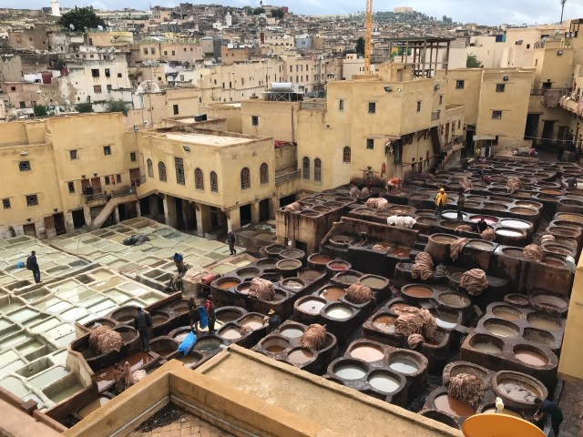 682DD3CA-00D3-489D-B056-356B89C2392F