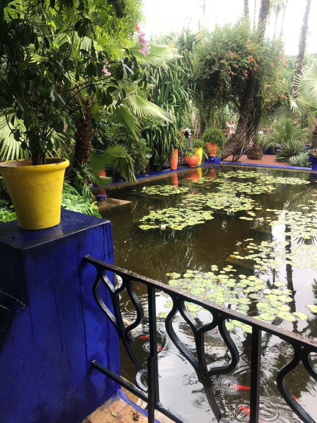 71910941-7428-4A96-B8B7-9B5B7C052235