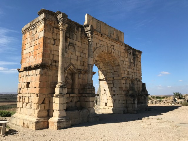 7FBD40E1-7B80-434D-8587-E90ED8614252