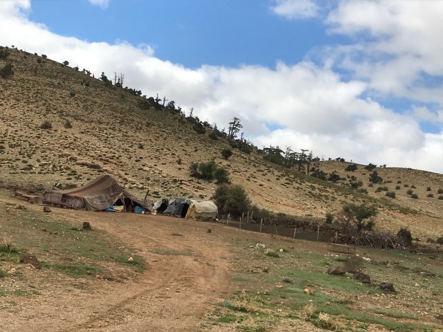 866F3BD8-6643-45F4-AEC3-121F049640DF