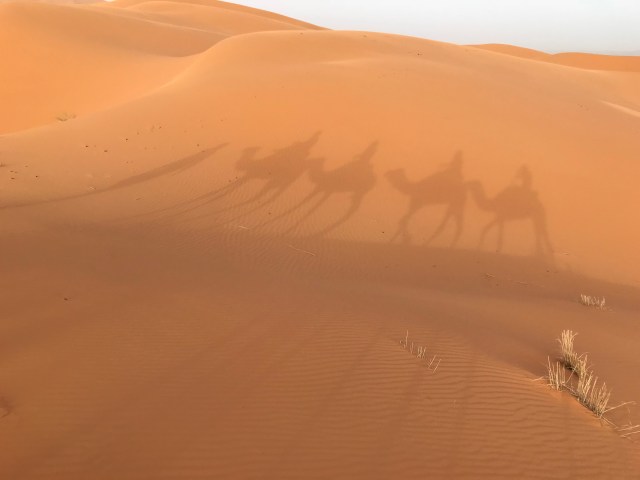 9A956028-E657-4A19-AF03-D149EC17CE8E