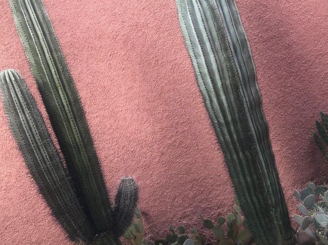 A67F5465-B452-4135-972F-252B68211FEA