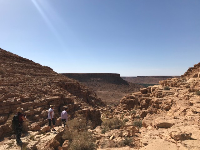 B4FF12C7-A9E0-4B8C-8689-E82EF22A9A2A