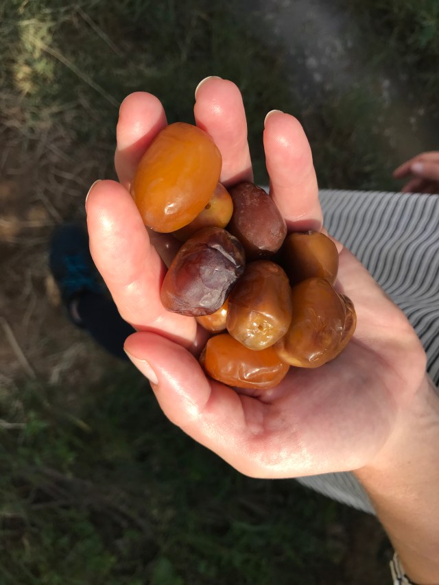 BBDD2EBE-3E12-4E5B-A021-A02C9BD80A96