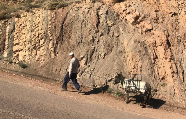 C18CCE11-ECB4-4E21-9EE3-C39F0AFAA20D