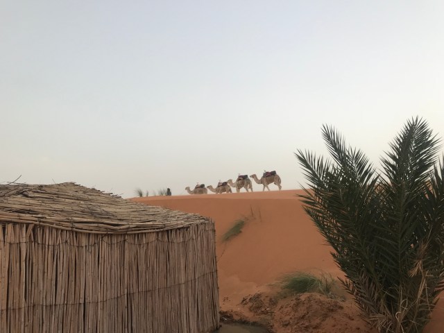 CECFFBB6-E677-4221-AA68-0C6E07AE76F9