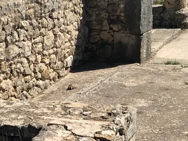 D9A70B7A-287C-4A58-8222-E0236BE1820C