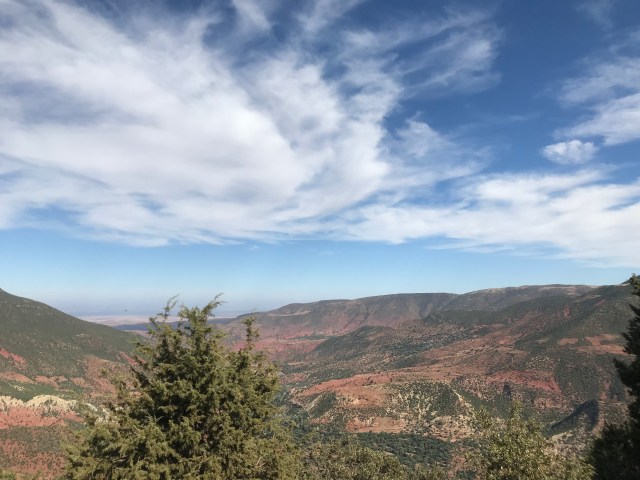 E8277D88-9591-4E05-A6D3-0209CE927ADF