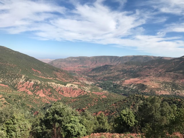 F79D3318-EE3F-4B6B-8156-15ACCCB26227