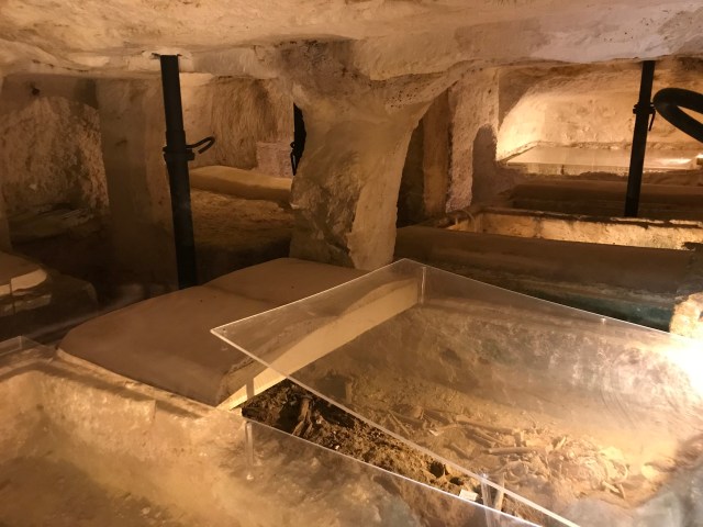 42E1BF92-AA12-4EF5-94C7-B48C423486D6