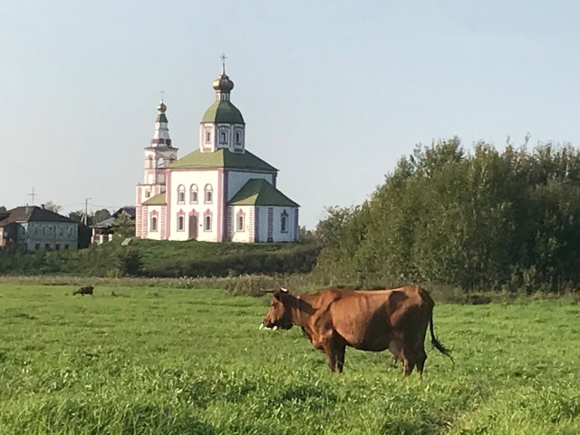 6B02B833-008B-4718-A80C-F6D189BA0698