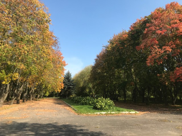 7B775731-26A9-44C9-8519-145AB7CEAEB6