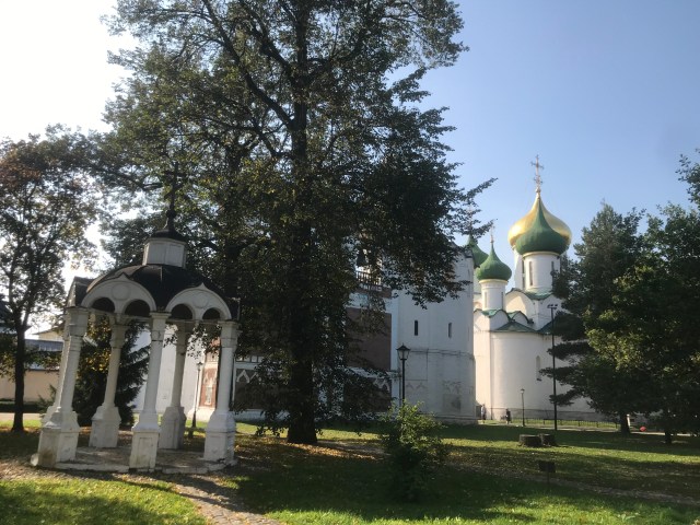 980C2DEC-1E4C-4BD3-9BD0-7F56A90BEC68