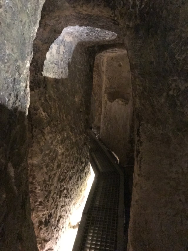 F72450B1-E4C9-446C-8BE5-7372B9576AE2