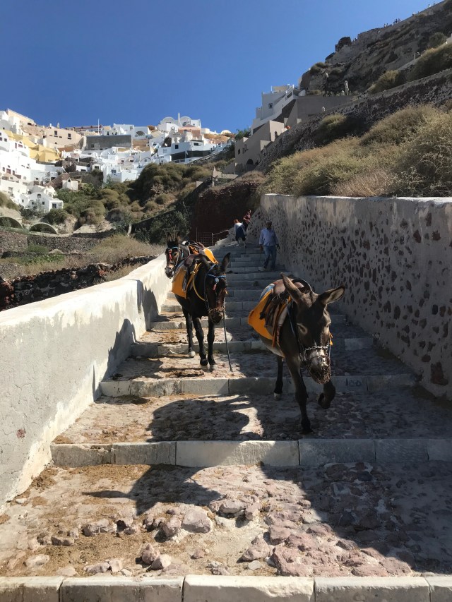 09231384-39A4-44D5-A096-8ED74464170E