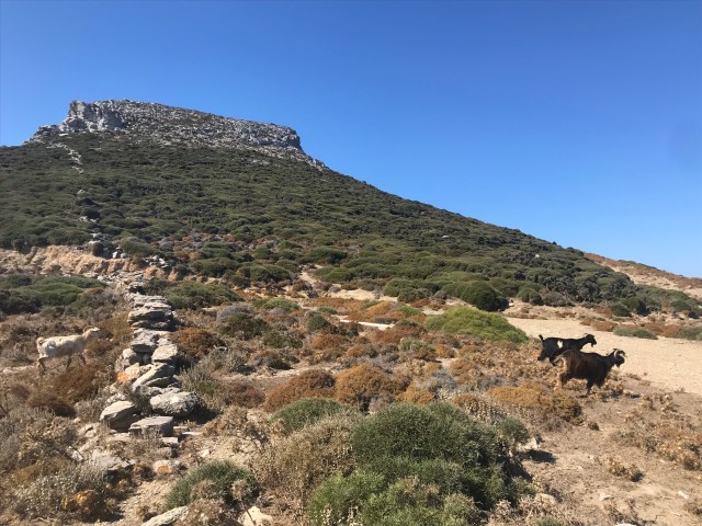 9E901A73-E9B2-4290-A002-47D5A28571E7